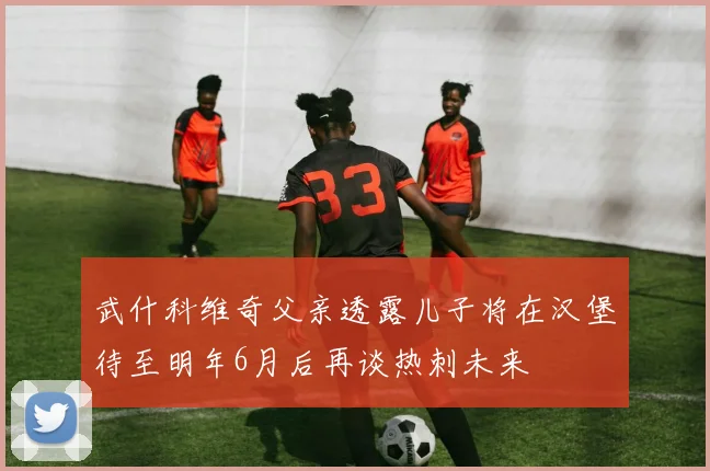 武什科维奇父亲透露儿子将在汉堡待至明年6月后再谈热刺未来