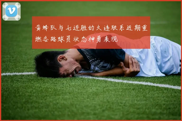 黄蜂队与七连胜的久违联系近期重燃各路球员状态神勇表现
