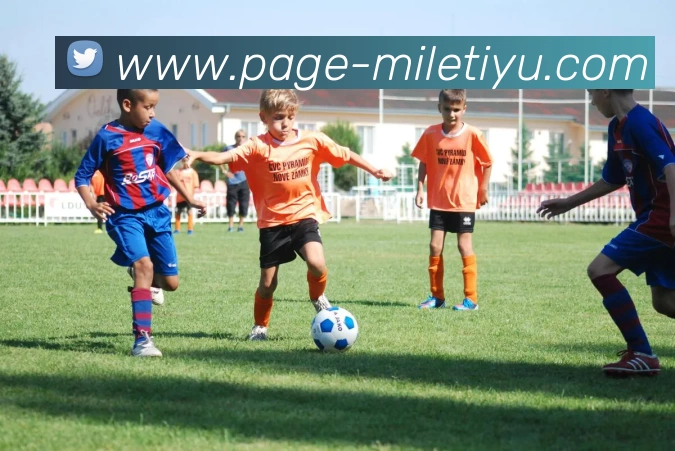 App Interface Preview